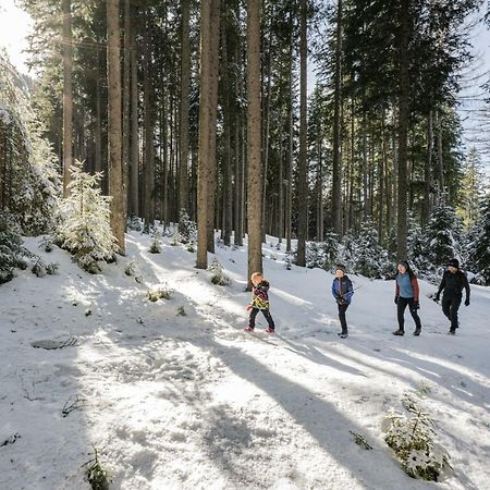 Hotel Broetz Rasùn di Sotto Екстериор снимка